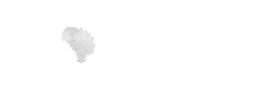 Devs Dash